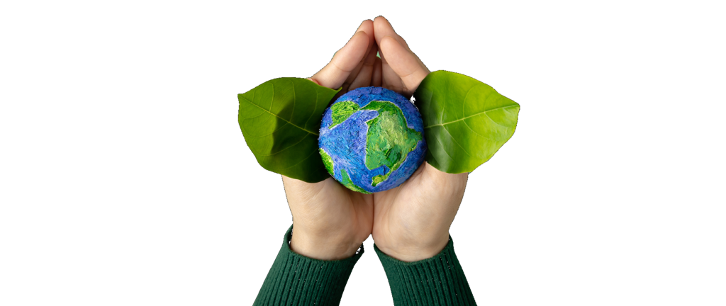 Hands holding a small globe with green leaves on each side, symbolizing environmental care and sustainability.