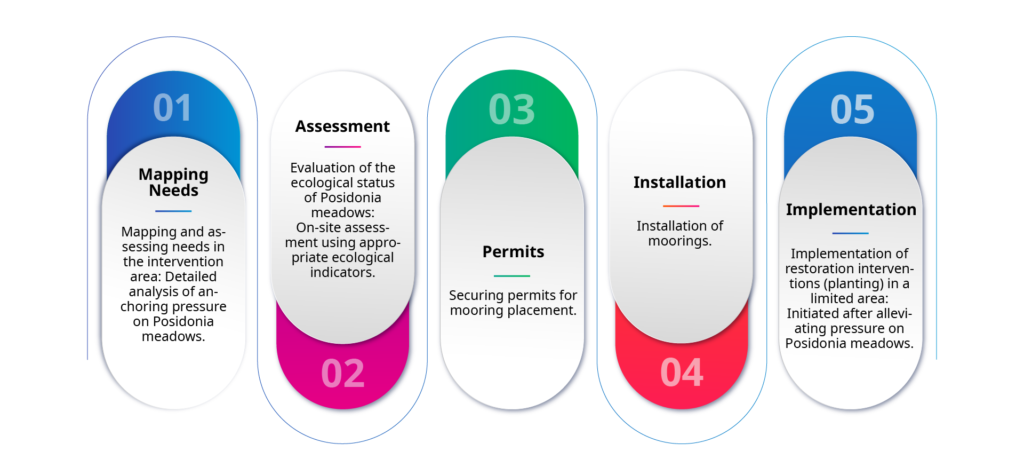 Infographic showing the five-step process for Posidonia meadow restoration: 1) Mapping Needs – mapping and assessing anchoring pressure, 2) Assessment – evaluating ecological status on-site, 3) Permits – securing mooring placement permits, 4) Installation – installing moorings, and 5) Implementation – initiating restoration planting after pressure reduction.
