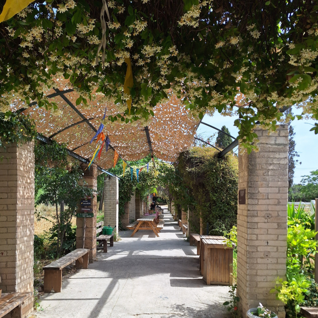 A TP Journey to the Heart of the Earth - at organosi gh