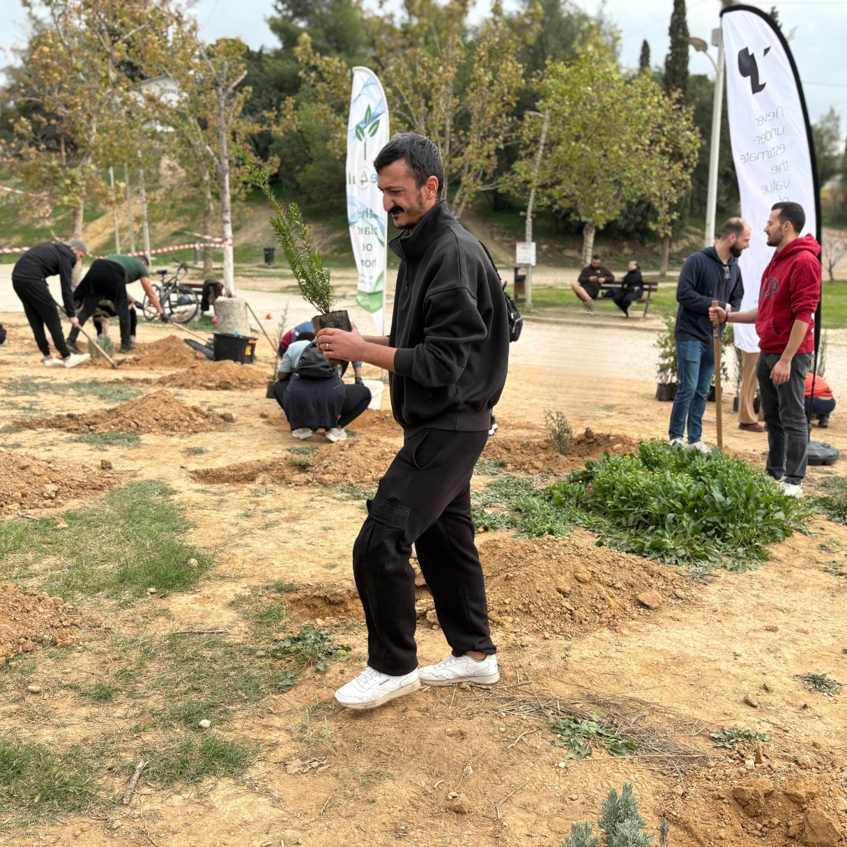 TP Volunteers planting young trees in a park, with a man carrying a small sapling while others dig holes in the background.